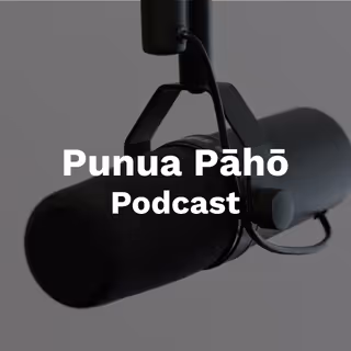 Podcast