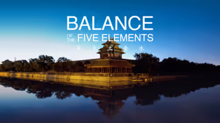 Balance of the Five Elements