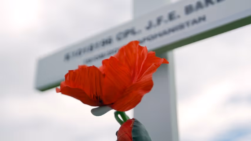 Fields Of Remembrance With Dr Stephen Clarke