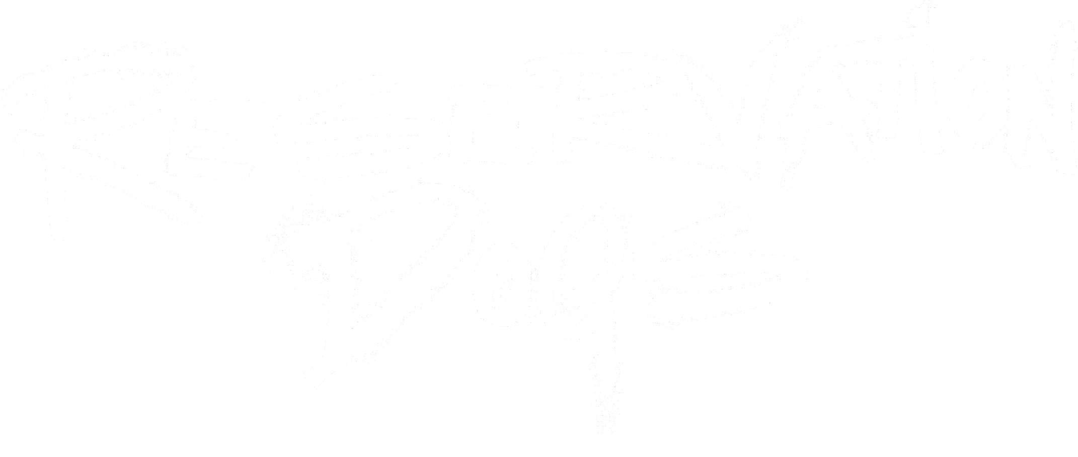 Reservation Dogs