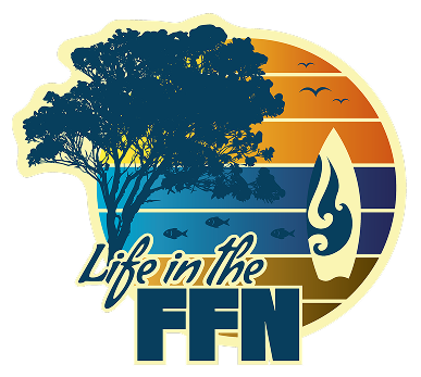 Life in the FFN