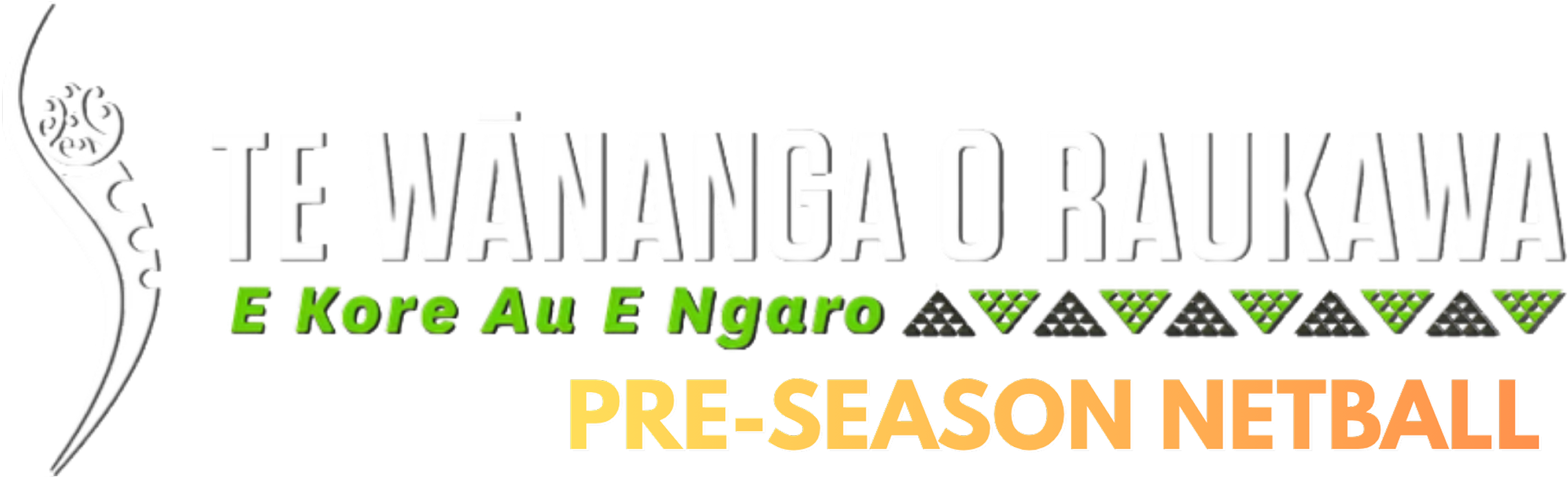 Te Wānanga o Raukawa | Pre-Season Netball | Collection