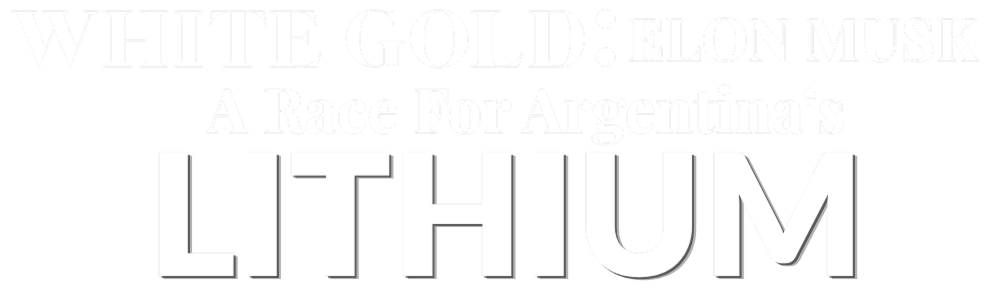 White Gold: Elon Musk And The Race For Argentina's Lithium