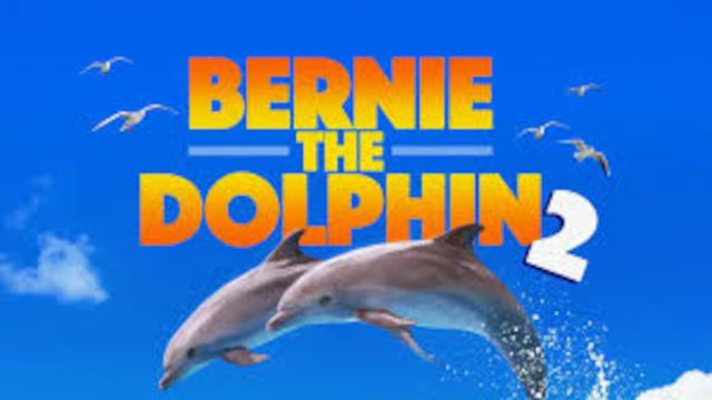 Bernie the Dolphin 2