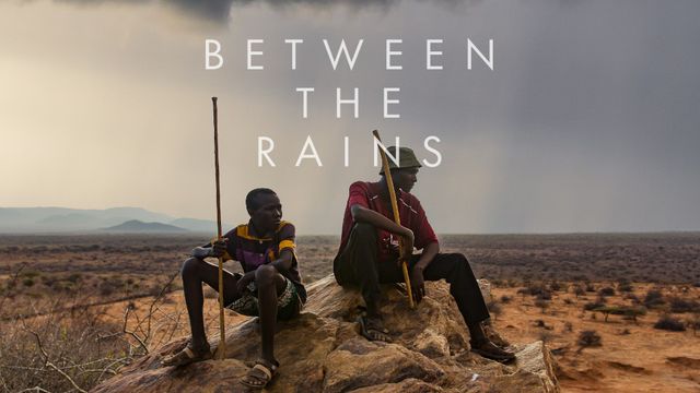 Between the Rains