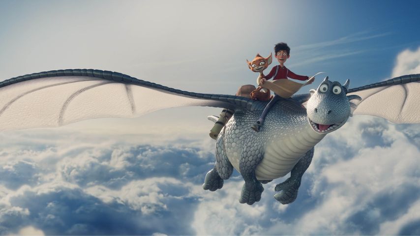 Dragon Rider