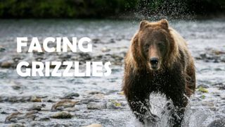 Facing Grizzlies