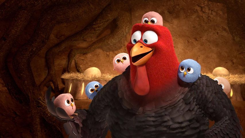 Free Birds