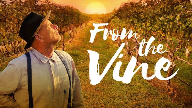 From the Vine