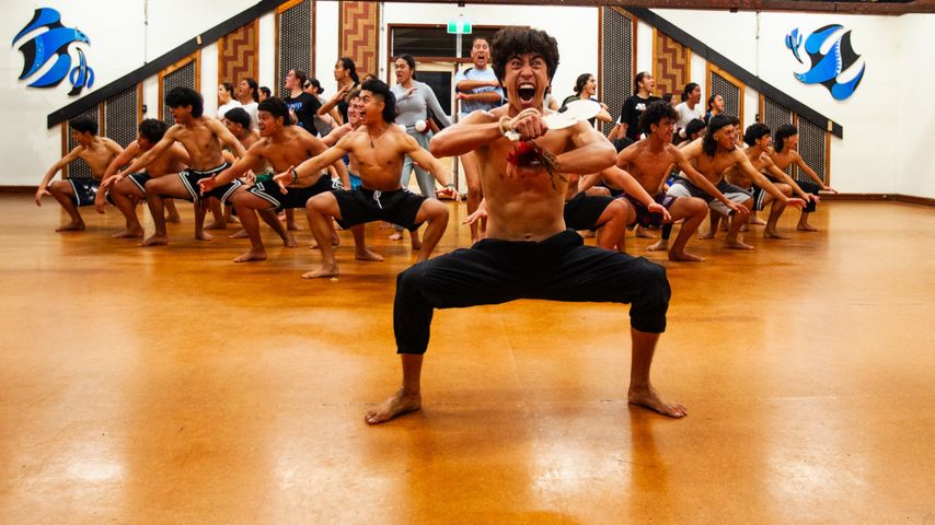 Haka Life Wharekura