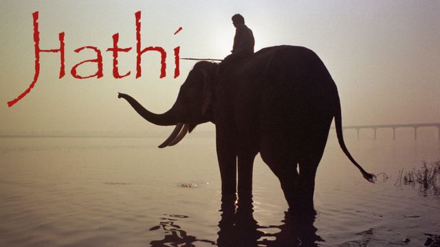 Hathi