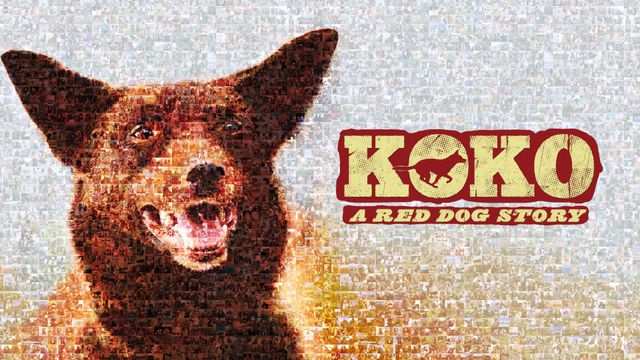 Koko: A Red Dog Story