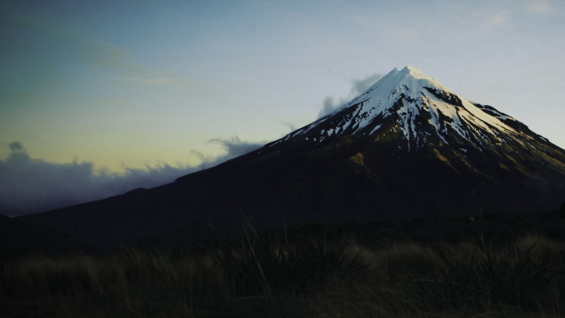 Te Matatini 2025 Peoples Choice Award