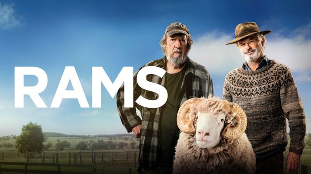 Rams