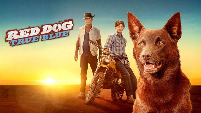 Red Dog True Blue