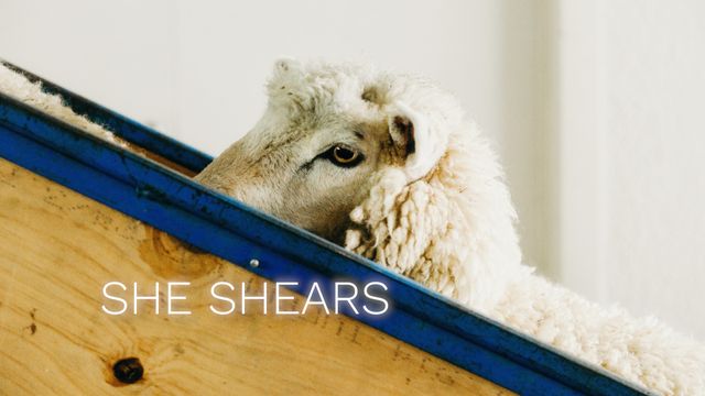 She Shears