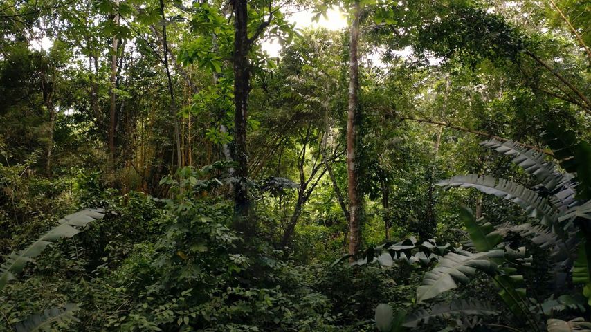 The Endangered Generation?