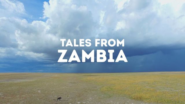 Tales from Zambia