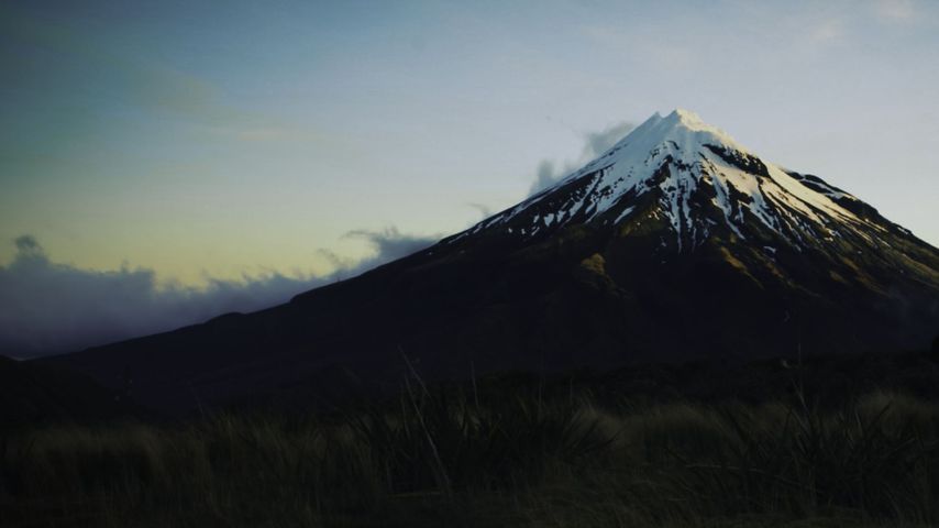 Te Matatini - People's Choice Award