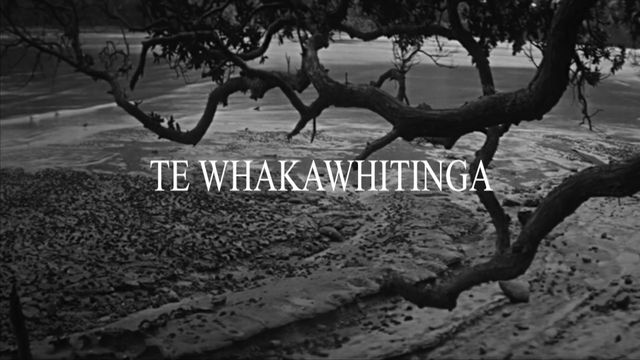 Te Whakawhitinga