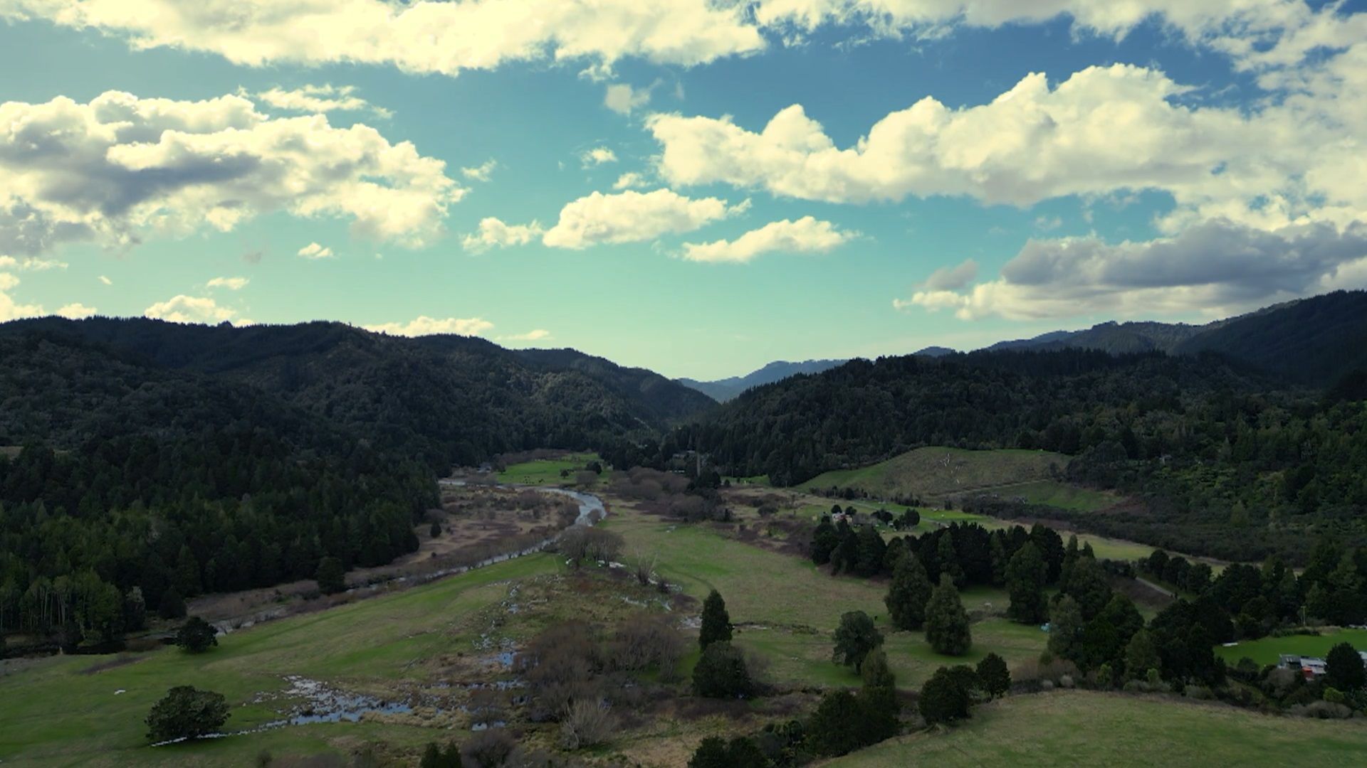 The Farm