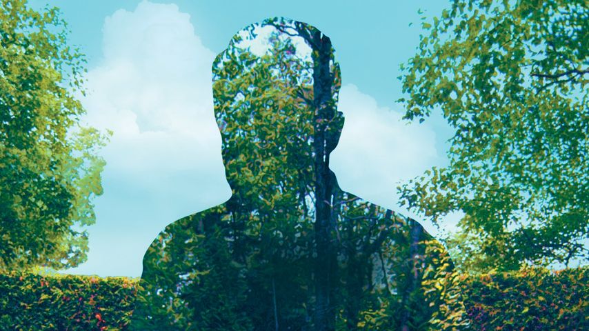 The Gardener