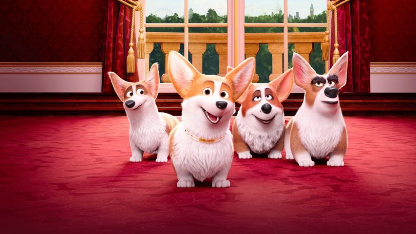 The Queen's Corgi