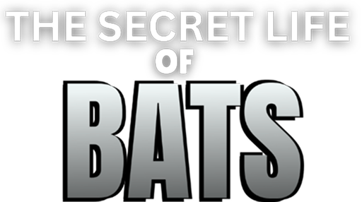 The Secret Life of Bats