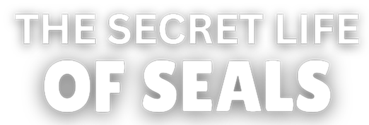 The Secret Life of Seals