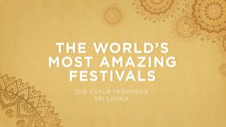 The World's Most Amazing Festivals