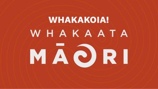 Whakakoia Whakaata Māori