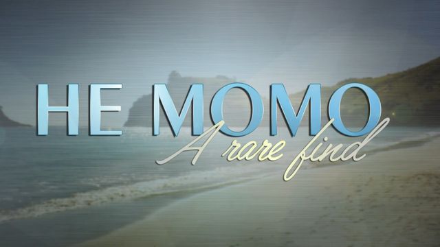 He Momo
