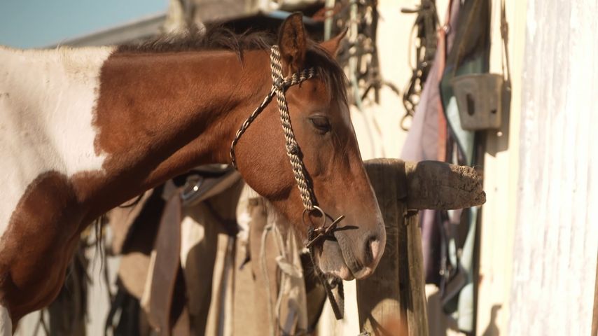 Native Ride