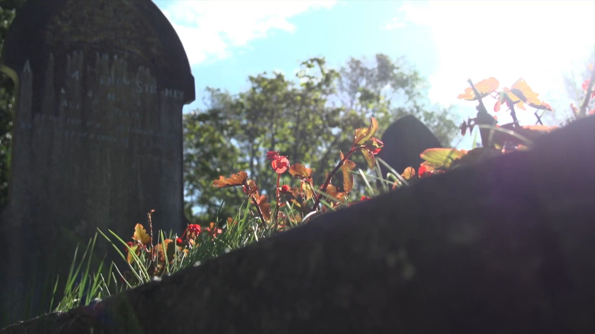 Remembrance Army