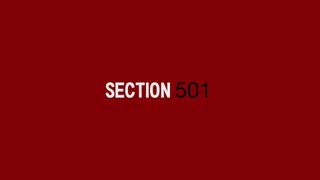 Section 501