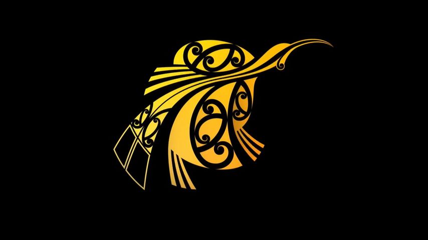 Te Matatini 50 Years