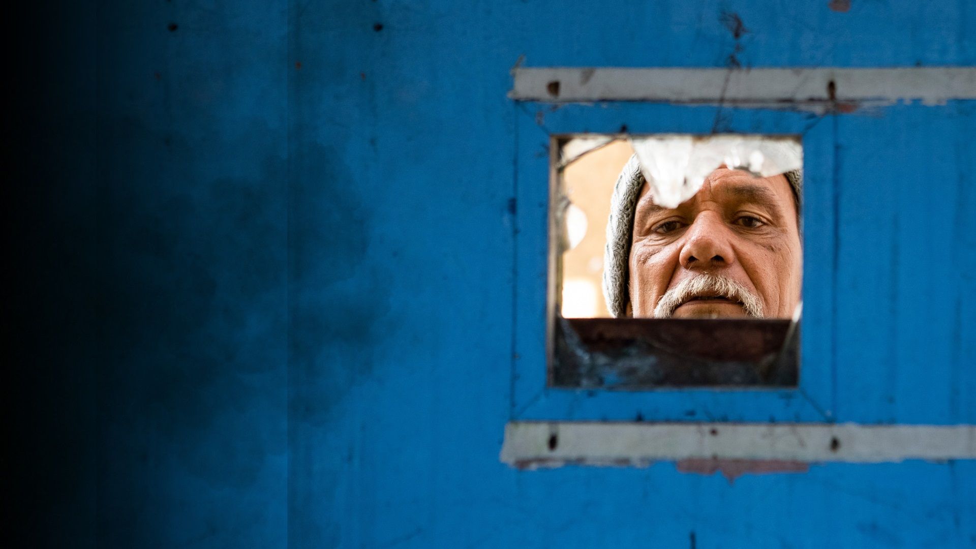 The Stolen Children of Aotearoa