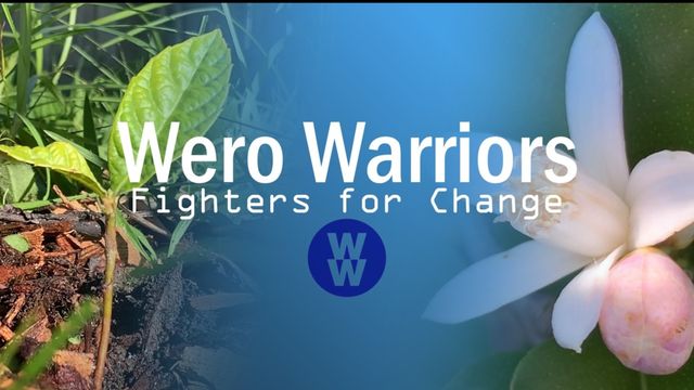 Wero Warriors