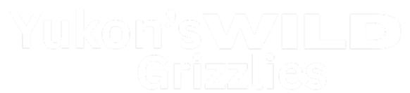 Yukon's Wild Grizzlies